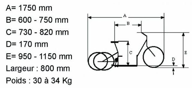 Caractéristiques Triporteur