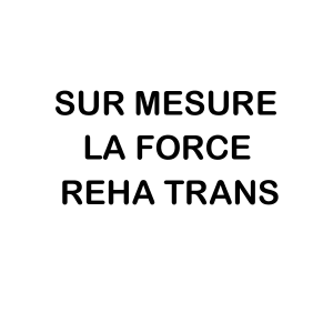 EXEMPLES DE REALISATIONS SPECIALES et SUR MESURES